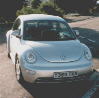 Nbeetle.jpg (3242 bytes)