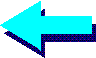 backarrow.gif (453 bytes)